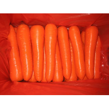 300g et plus de carottes fraîches